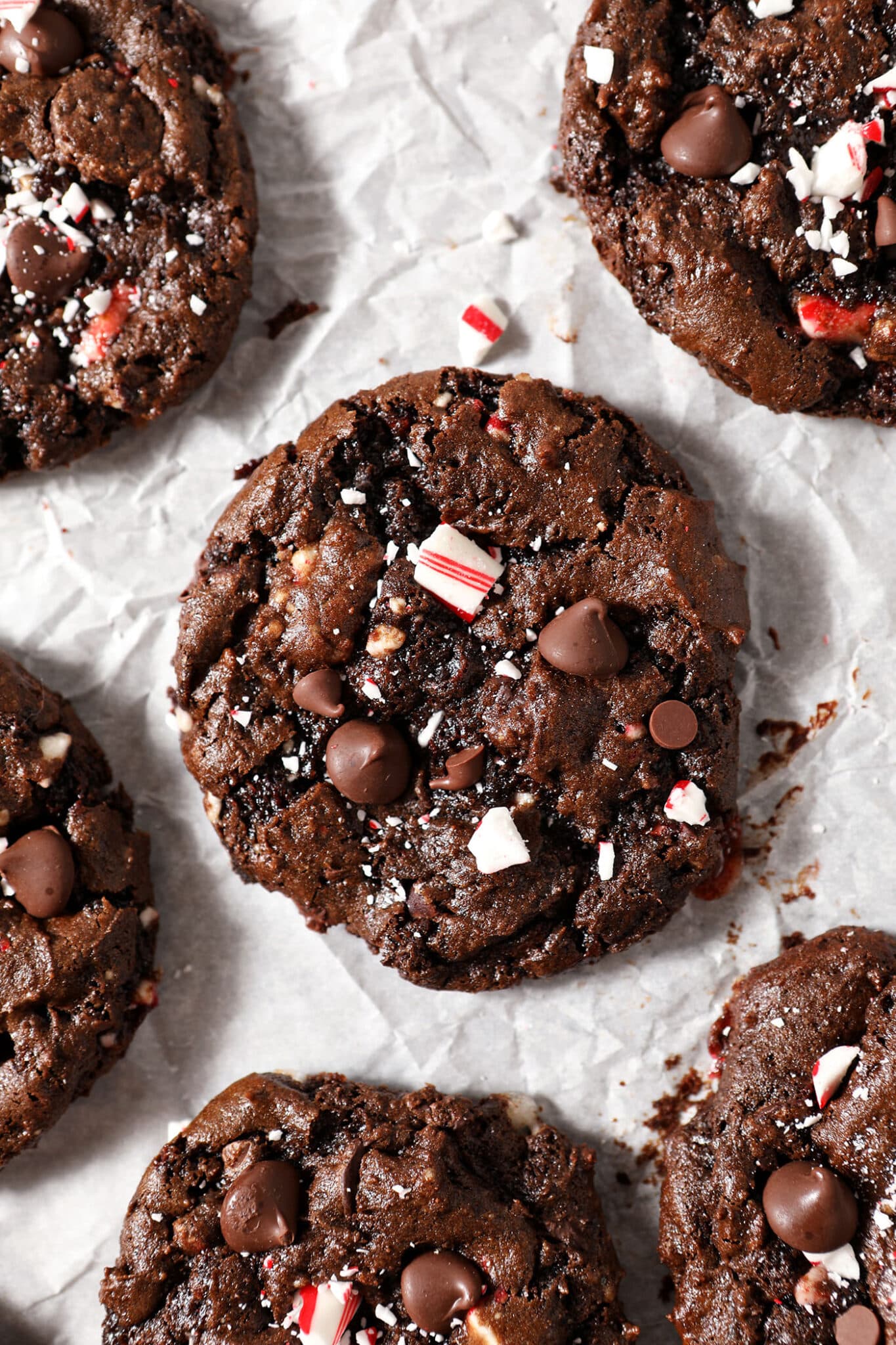 Chocolate Cookie